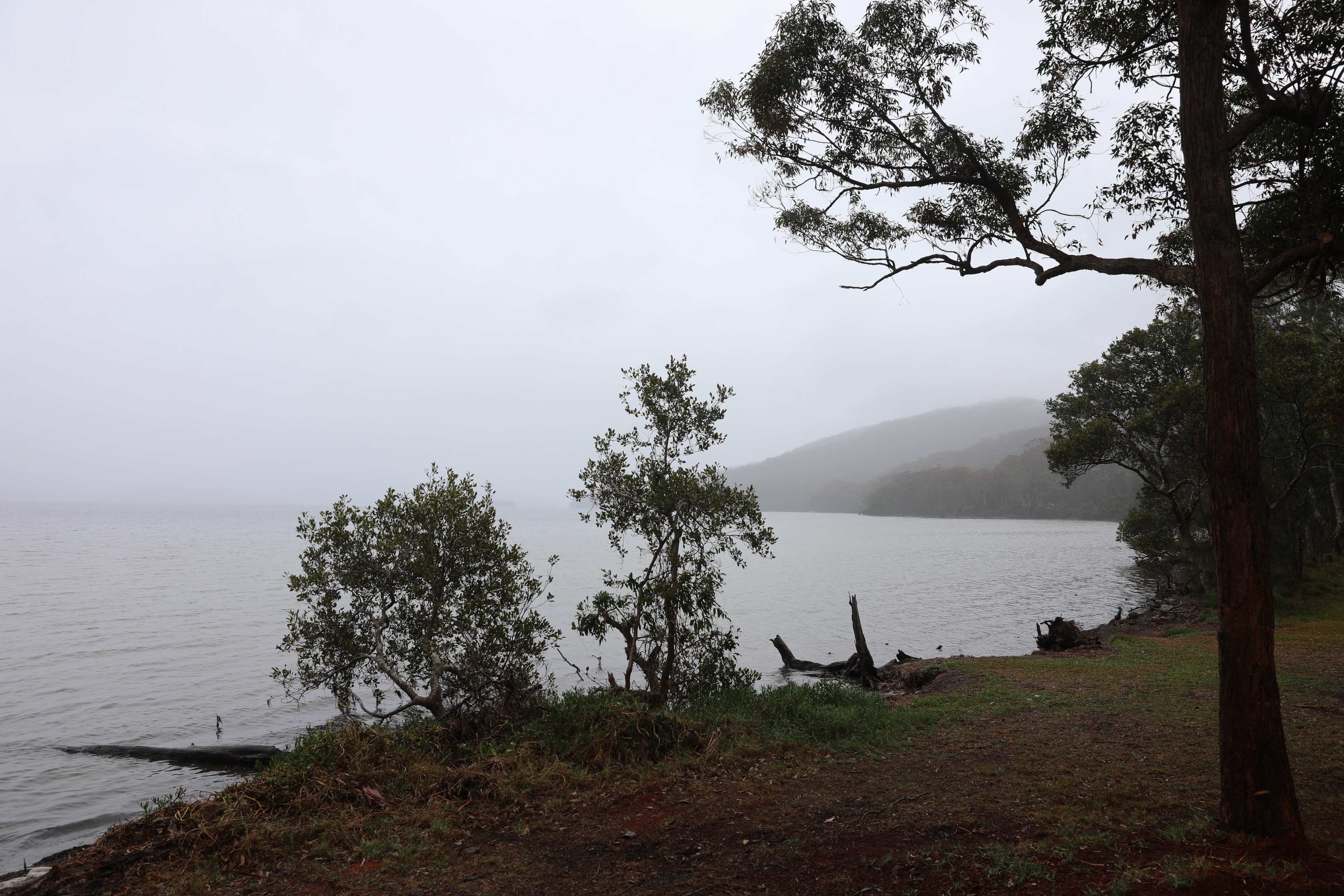 2020 01 11 14 11 32 Canon EOS 5D Mark IV 0006